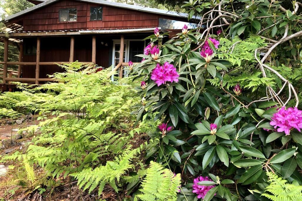The Cabin In 帕克伍德 外观 照片